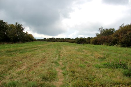 Hooper Bald summit, Sept 2019 6
