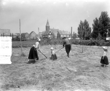 Hooitijd op eiland Marken, Bestanddeelnr 905-7749