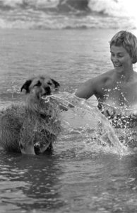 Hoogseizoen aan het Nederlandse strand Vrouw met hond in zee, Bestanddeelnr 910-5235