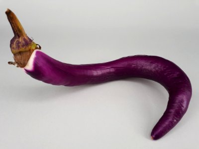 Hook-spiral Orient Charm eggplant 2017 B1