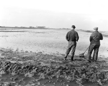 Hoogwater ondergelopen landerijen Cookingas Wijk Oude Pekela Winschoten, Bestanddeelnr 908-2345