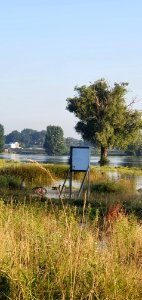 Hoogwater Maas bij Bokhoven 5 photo