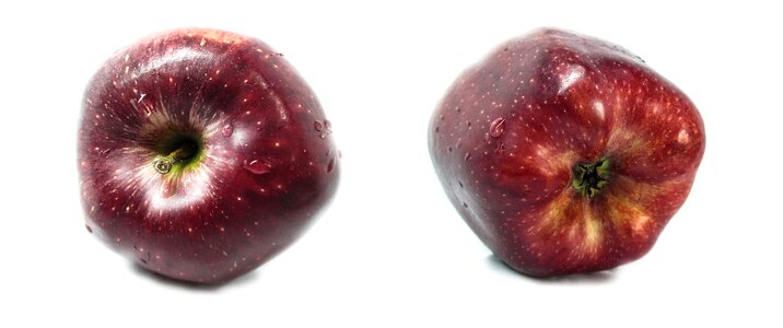 Red apple love apples fruit trees