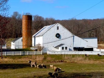 Hopewell Farm Chesco