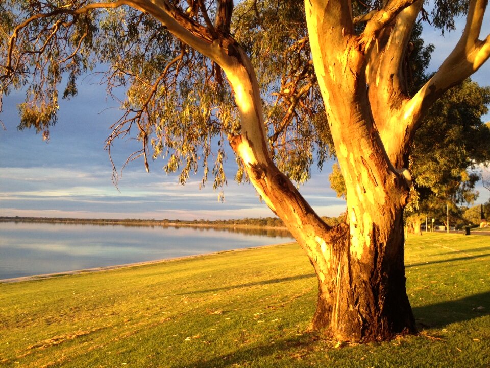 Sunset outdoor sunlight