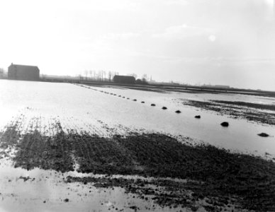 Hoogwater ondergelopen landerijen Cookingas Wijk Oude Pekela Winschoten, Bestanddeelnr 908-2343