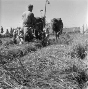 Hooitijd, Bestanddeelnr 902-2225