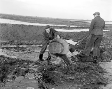 Hoogwater ondergelopen landerijen Cookingas Wijk Oude Pekela Winschoten, Bestanddeelnr 908-2346