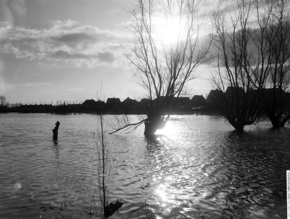 Hoogwater in de omgeving van Zwolle Hattem bij zonsondergang, Bestanddeelnr 918-5493