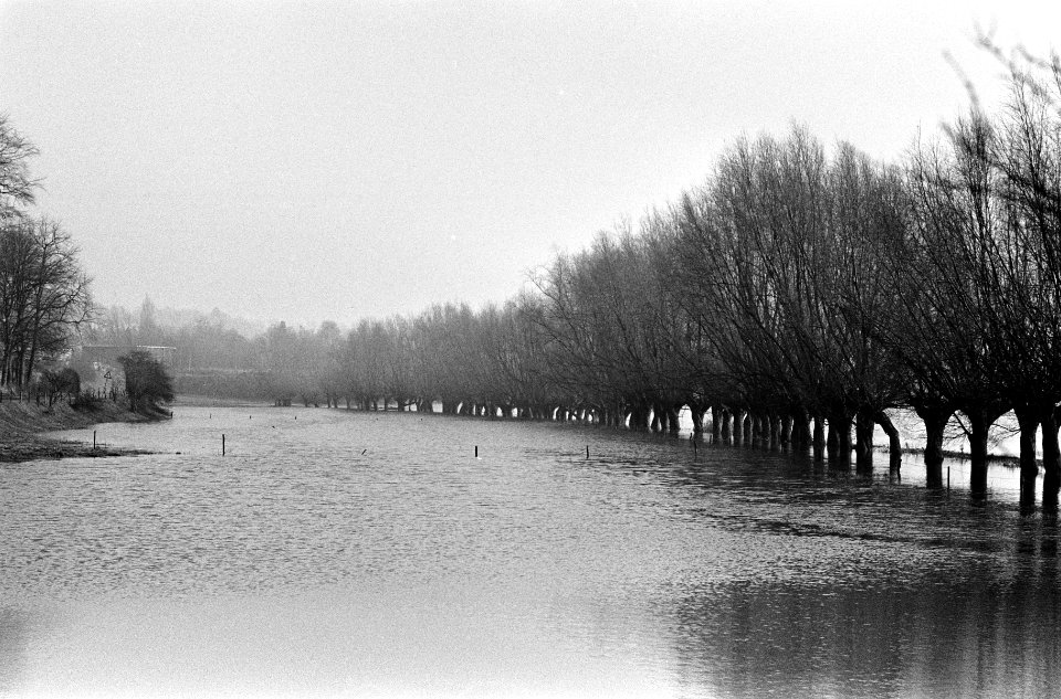 Hoog water tussen Arnhem en Oosterbeek ondergelopen weilanden, Bestanddeelnr 918-5392