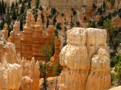 Hoodoos known as 'Frankenstein' (right) and 'Red rooster' (center),Bryce Canyon National Park