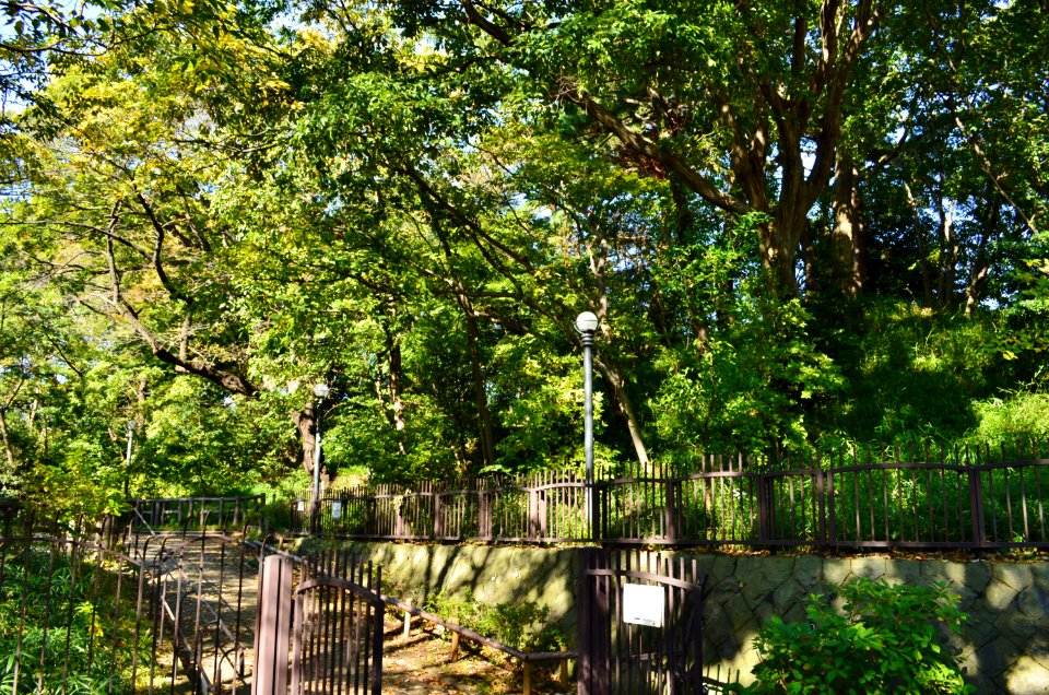 Horaisan Kofun (Ota), funkyu