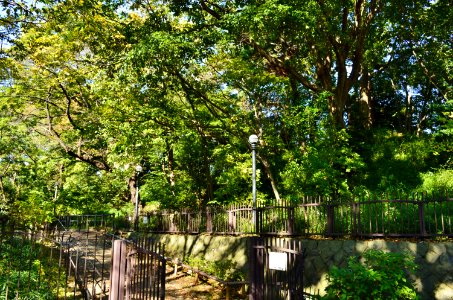 Horaisan Kofun (Ota), funkyu
