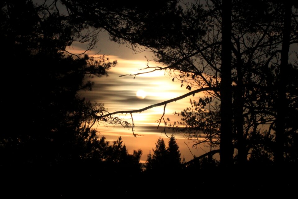 Mosfjell birkeland norway