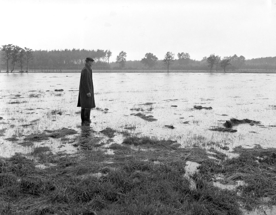 Hoog water op landerijen Overijssel (Dalfsen), Bestanddeelnr 907-9216