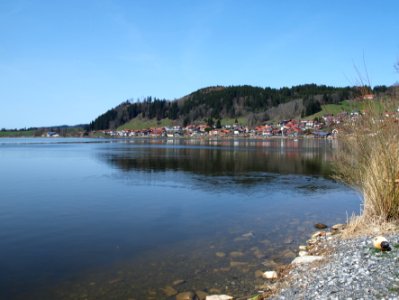 Hopfensee (04)
