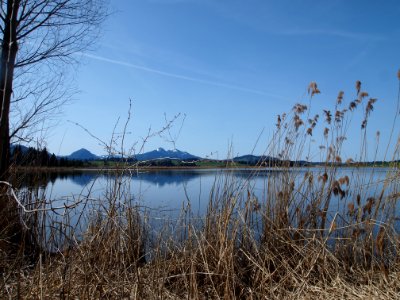 Hopfensee (02)