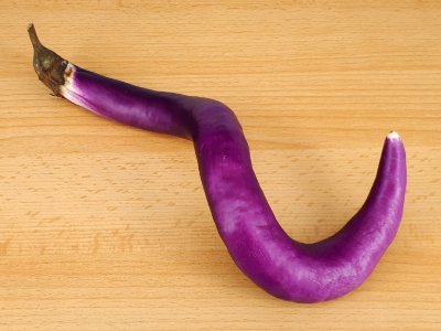 Hook-spiral Orient Charm eggplant 2017 A4