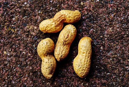 Delicious nutrition peanut photo