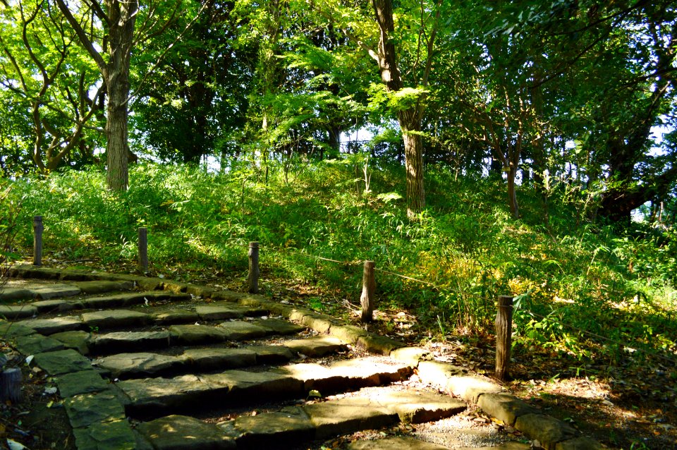 Horaisan Kofun (Ota), kouenbu