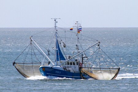 Shrimp networks nordfriesland photo