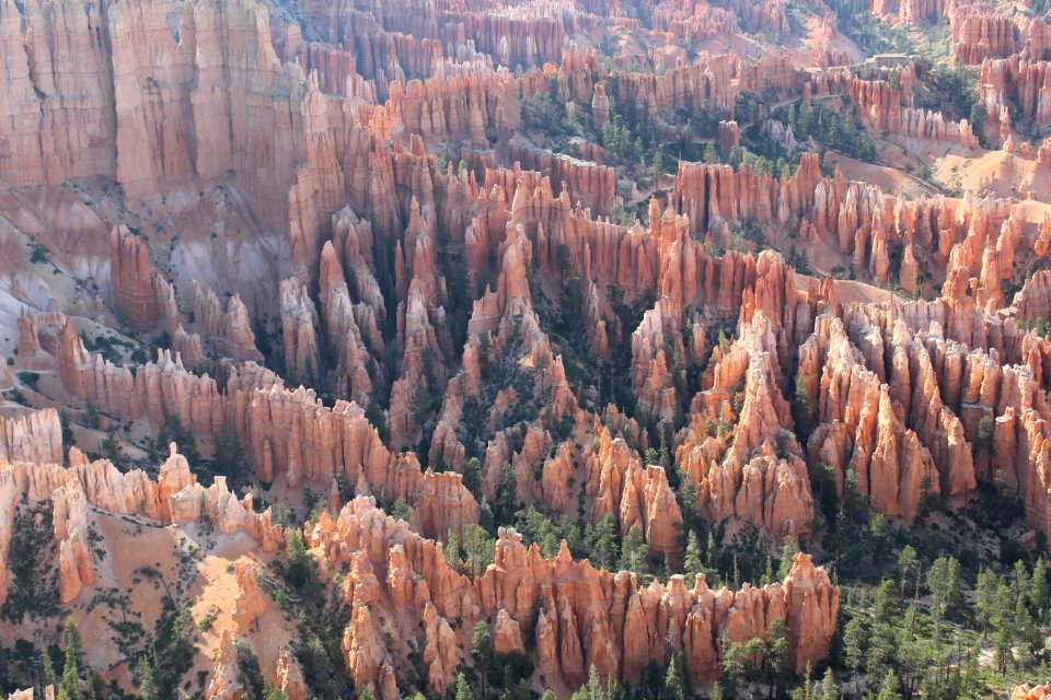 Hoodoos at Bryce Canyon
