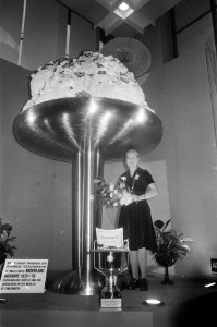 Horecava 1976 in Amsterdamse RAI prijswinnares ijscoup maken bij reuzen coup , Bestanddeelnr 928-3452