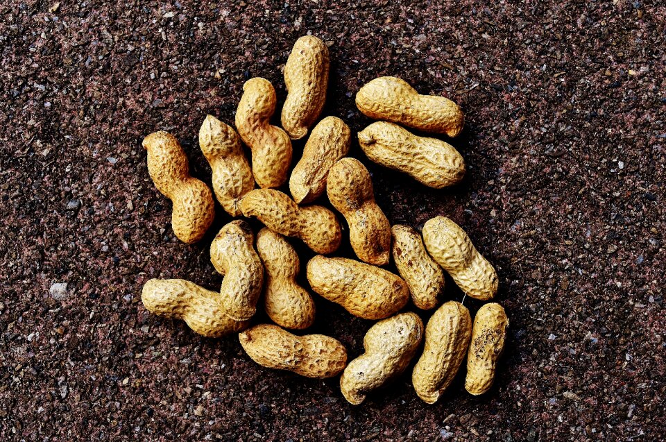 Delicious nutrition peanut