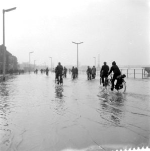 Hoog water bij Venlo, Bestanddeelnr 909-3768