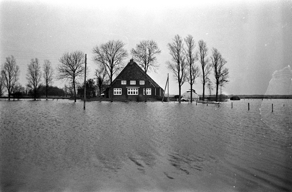 Hoog water, bij Joure in Friesland zijn boerderijen ingesloten, Bestanddeelnr 918-5389