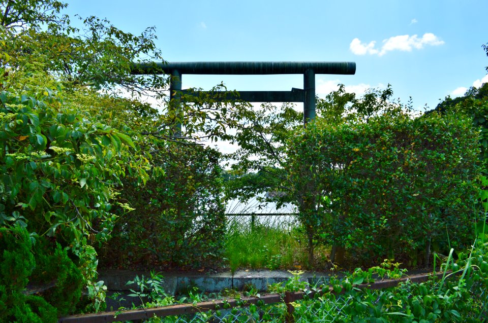 Horai-yama Kofun, haisho of Tajimamori-no-mikoto-2