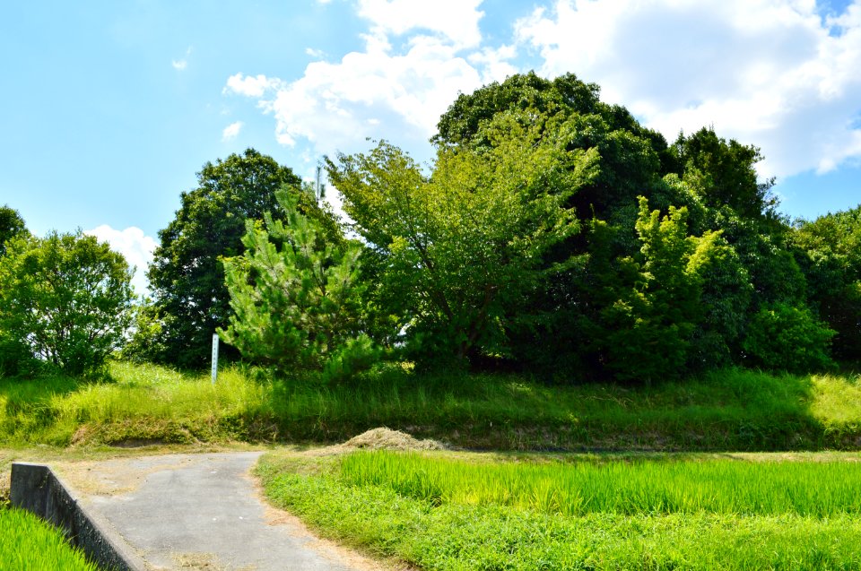 Horai-yama Kofun, baicho-3
