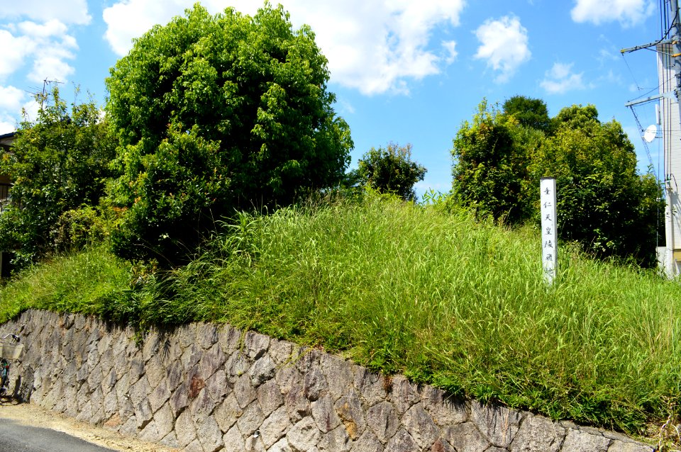 Horai-yama Kofun, baicho-6