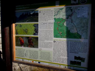 Infotafel FFH Hochharz am Eisernen Tisch bzw. Hirtenstieg zum Brocken Mitte Oktober 2018