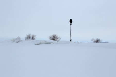 Hopreeni Oulu 20160307