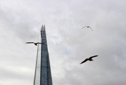 Sky england united kingdom photo