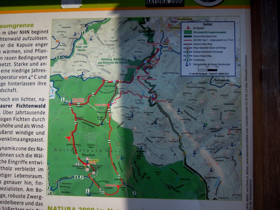 Infotafel FFH Hochharz am Eisernen Tisch bzw. Hirtenstieg zum Brocken -Karte- Mitte Oktober 2018