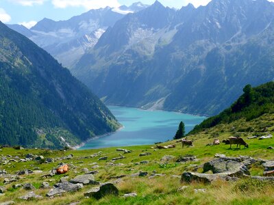 Austria-tirol-zillertal nature landscape