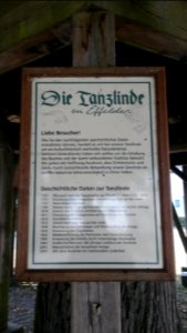 Infotafel Tanzlinde Effelder