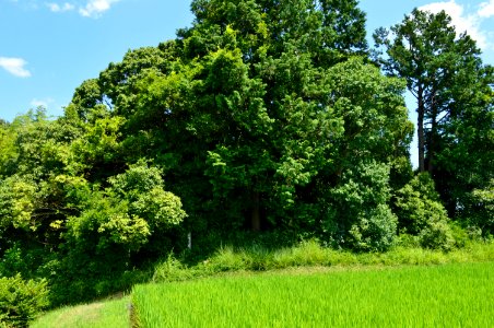 Horai-yama Kofun, baicho-4