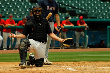 Baseball catcher adult baseball