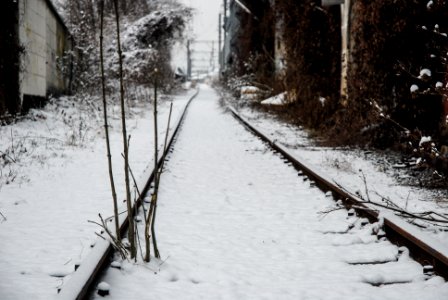 Innsbruck, Schlachthofgleis photo