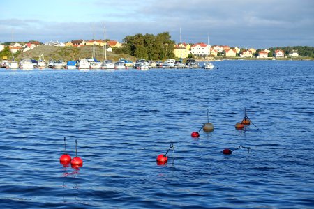 Inner harbor - Karlskrona, Sweden - DSC08624