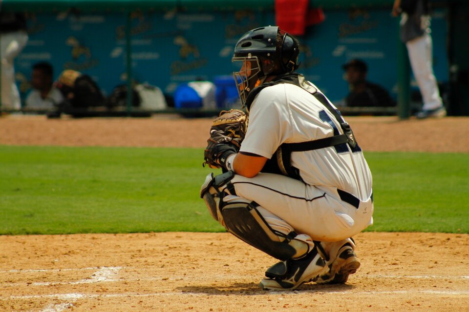 Baseball catcher adult baseball