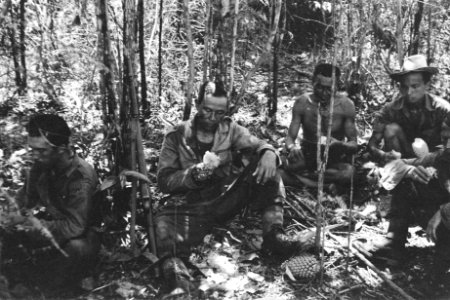 Inheemse militairen eten ananas, Bestanddeelnr 187-5-1