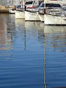 Port reflection summer