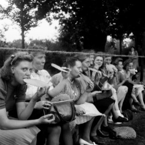 Inhuldiging koningin Juliana Koninklijk gezin weer thuis op paleis Soestdijk, Bestanddeelnr 900-0260