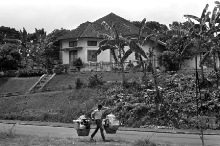 Indonesie, de plantentuin (grenzend aan Paleis) Bogor, Bestanddeelnr 924-8438