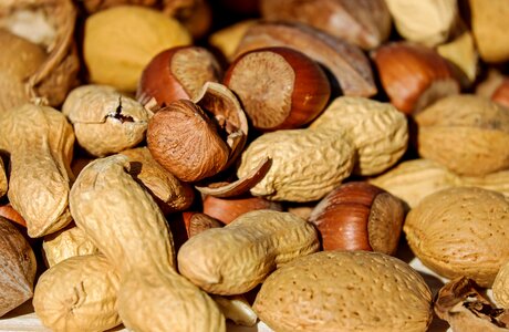 Nuts nut mix food photo