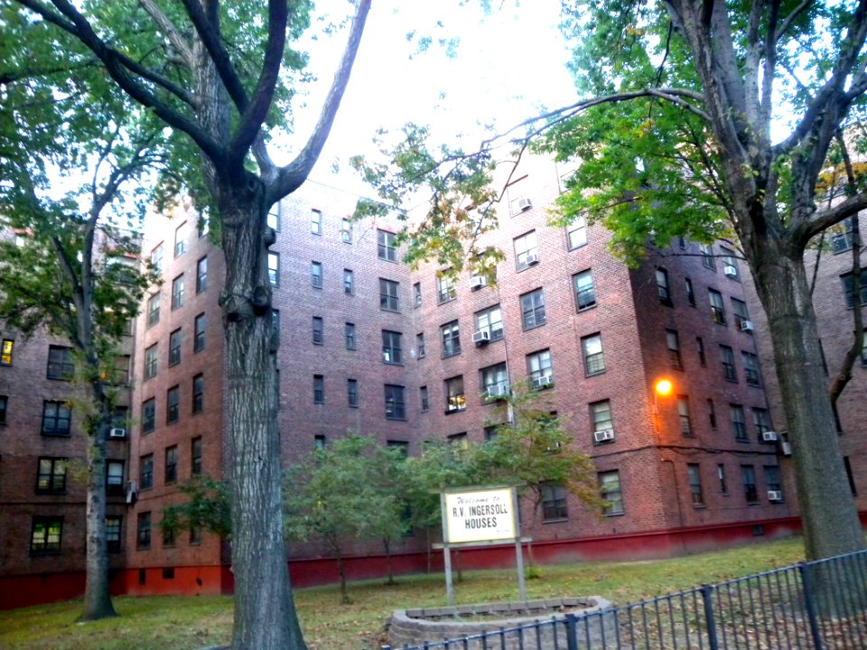 Ingersoll NYCHA jeh